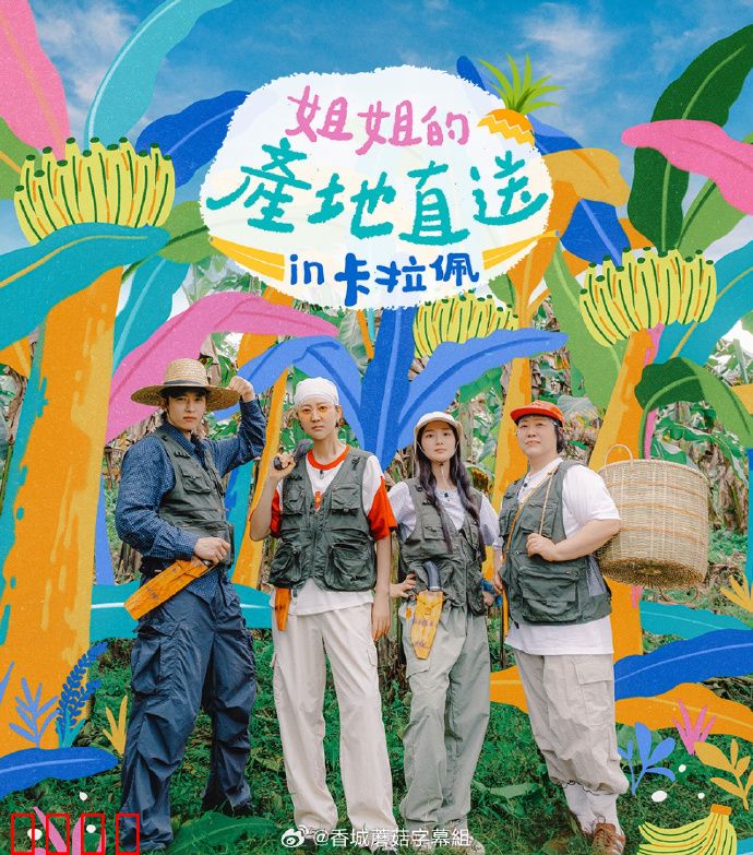 姐姐家的产地直送3：家族秘密