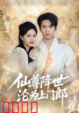 仙尊降世沦为上门郎：都市逆袭传奇
