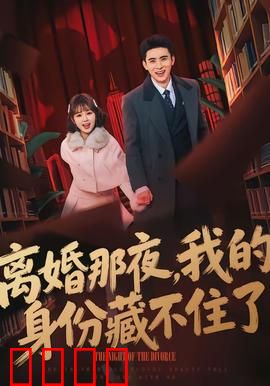 离婚那夜，我的身份藏不住了：反转惊人