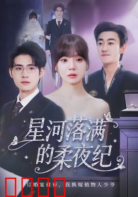 星河落满的柔夜纪：星际之恋