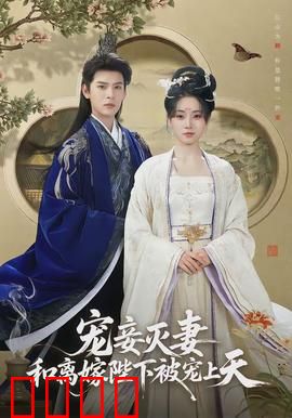 宠妾灭妻，和离嫁陛下被宠上天：逆袭甜宠