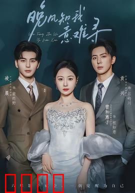 晚风知我意难寻：情断意难平