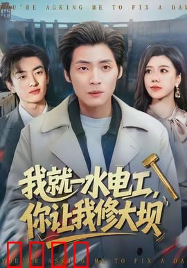 我就一水电工，你让我修大坝：草根逆袭