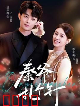 秦爷，扎个针：宅女逆袭神医