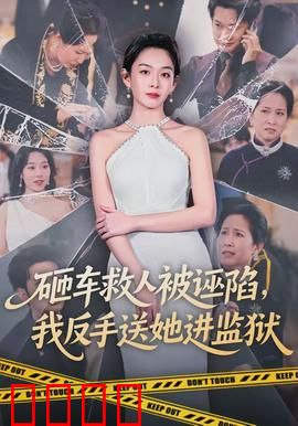 砸车救人被诬陷，我反手送她进监狱：正义终将到来