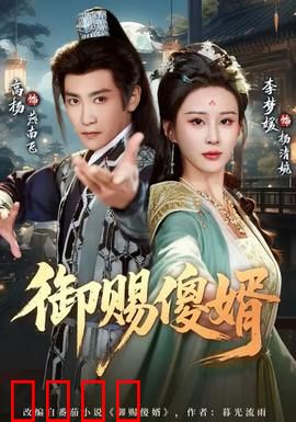 御赐傻婿：呆萌女婿逆袭记