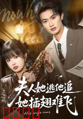 夫人她逃他追，她插翅难飞：霸总追妻路