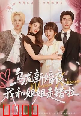 乌龙新婚夜，我和姐姐走错啦：错位情缘