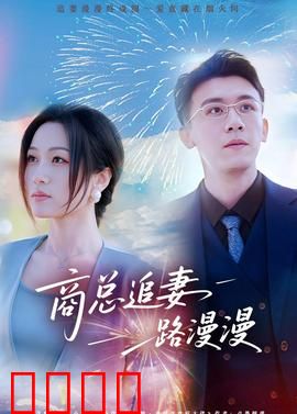 商总追妻路漫漫：总裁追妻火葬场