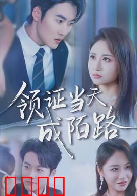 领证当天成陌路：爱情变阴谋