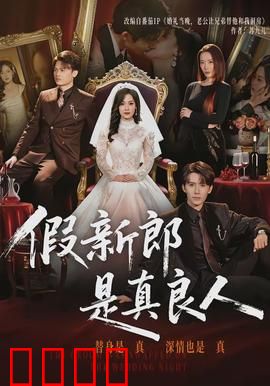 假新郎是真良人：替嫁新娘意外获真爱