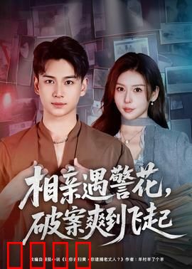 相亲遇警花，破案爽到飞起：警花爆笑破案