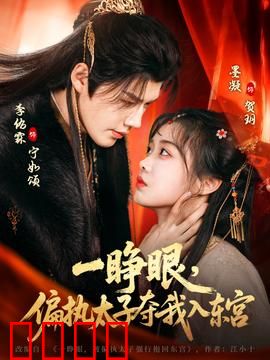 一睁眼，偏执太子夺我入东宫：穿越逆袭