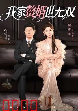 我家赘婿世无双：隐忍逆袭记