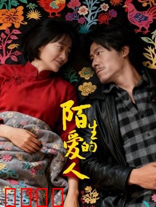 陌生的爱人：记忆重塑