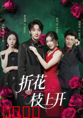 折花枝上开：情深缘浅