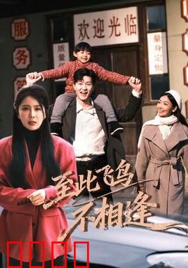 到此飞鸟不相逢：跨界之恋