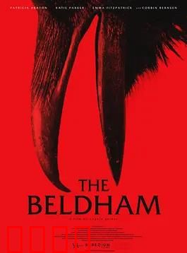 贝尔德姆：禁闭疯人院