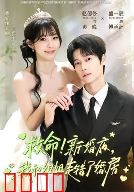 救命！新婚夜，我和姐姐走错了婚房：错嫁奇缘