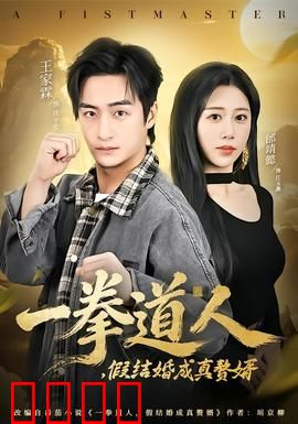 一拳道人，假结婚成真赘婿：赘婿逆袭