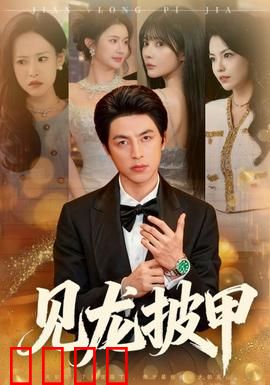 见龙披甲：热血忠义无双