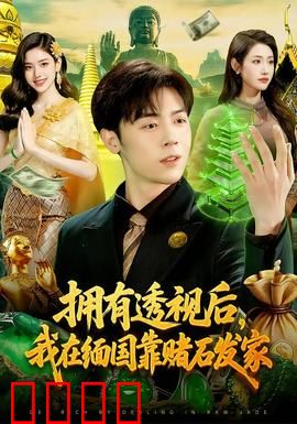 拥有透视后，我在缅国靠赌石发家：赌石逆袭传奇