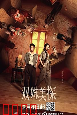 双姝美探：妙手破奇案