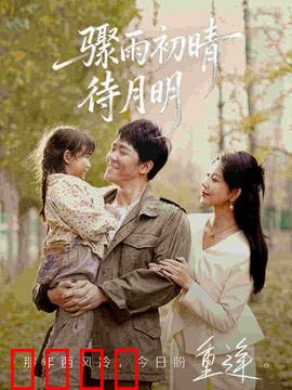 骤雨初晴待月明：风雨后的重逢