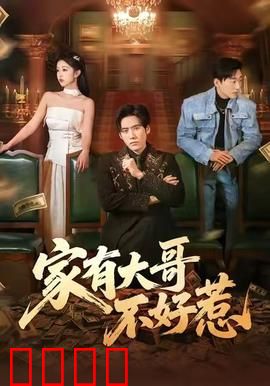 《大哥归来：铁血复仇路》