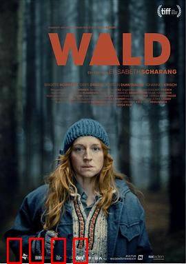 走出丛林：探险者的逆袭