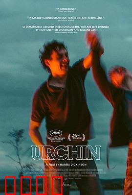 街头顽童：挣扎青春路