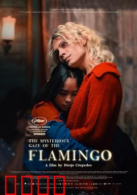 弗拉明戈的神秘眼神：舞动灵魂的谜团