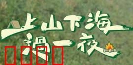 上山下海过一夜：绝境求生记