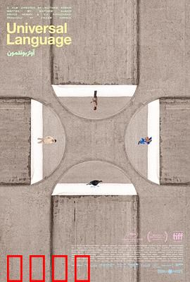 共同的语言：文化桥梁