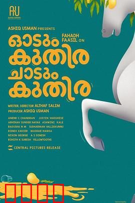 一匹马奔跑，一匹马跳跃：命运交错