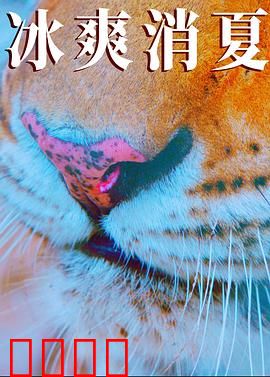 寒冰白血：冰血危机