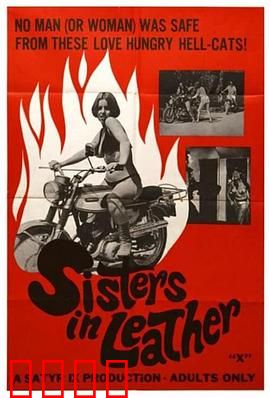 皮衣姐妹：复仇飙车党