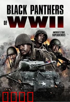 二战黑豹：钢铁意志