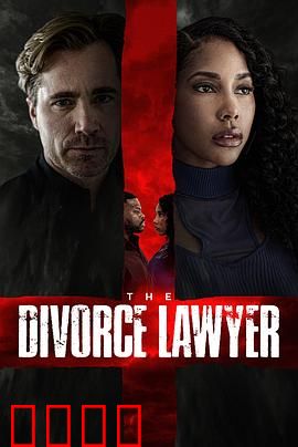 离婚律师：金牌对决