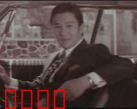 青春恋歌：初恋的苦涩回忆