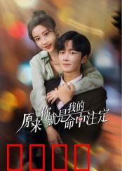 原来你就是我的命中注定：命中注定我爱你