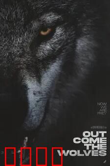 狼群出动：雪原猎杀