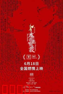 永不消逝的电波2024：绝密电码