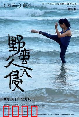 野蛮人入侵：重塑自我之战