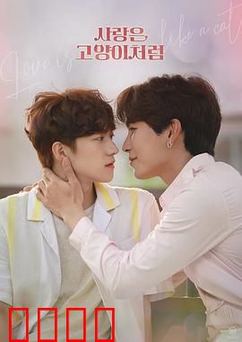 爱情像猫一样：抓不住的温柔