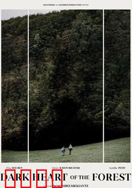 森林的黑暗心脏：迷失者的救赎