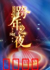 2025北京卫视跨年：群星璀璨夜