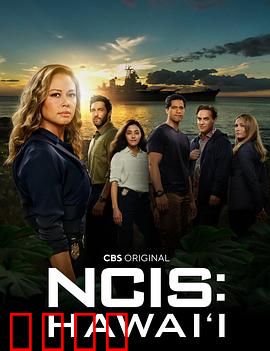 海军罪案调查处：奇案追踪