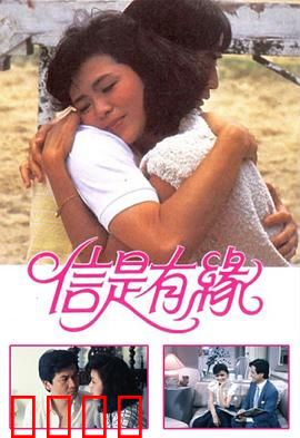 信是有缘粤语：深情解读