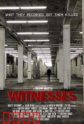 目击者2019：谎言的深渊